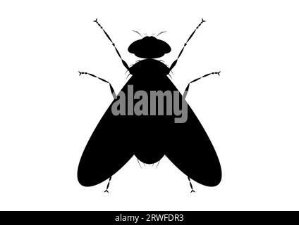Noir et blanc Vert Fly Silhouette dans le style plat Illustration de Vecteur