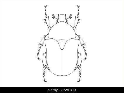 Protaetia Beetle Clipart noir et blanc. Coloriage d'une betterave Protaetia Illustration de Vecteur