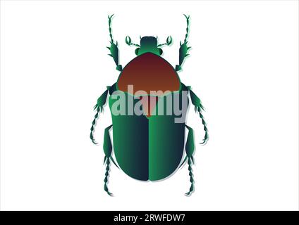 Protaetia Beetle Vector Art isolé sur fond blanc Illustration de Vecteur