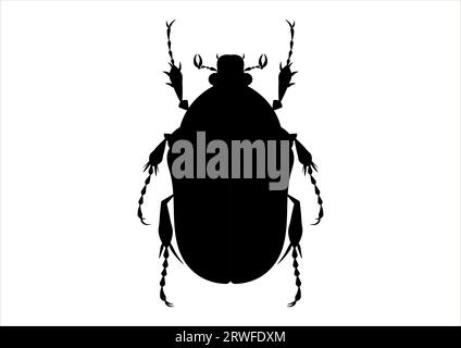 Protaetia Beetle Clipart noir et blanc Illustration de Vecteur