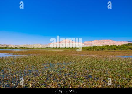 Nallihan ou Davutoglan Bird Sanctuary et Kiz Tepesi ou Rainbow Hills à Ankara Turkiye. Banque D'Images