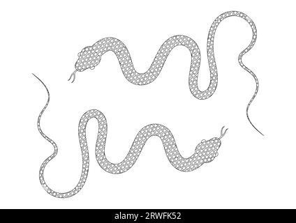 Illustration vectorielle de serpent noir et blanc. Coloriage de deux serpents Illustration de Vecteur