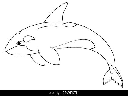 Vecteur de personnage de dessin animé d'orque noir et blanc. Coloriage de dessin animé orca Illustration de Vecteur