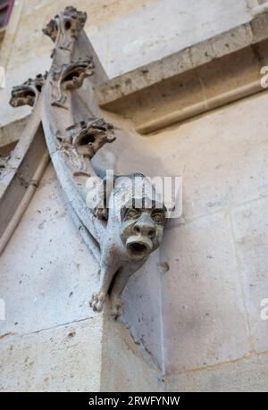 Rouen Normandie France - Gargoyle sur le Palais de Justice Rouen est la capitale de la région Nord de la France de la Normandie Banque D'Images