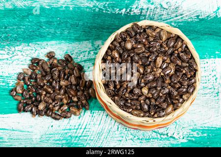 Ricinus communis – graines séchées du fruit de la plante de castor bean. Banque D'Images