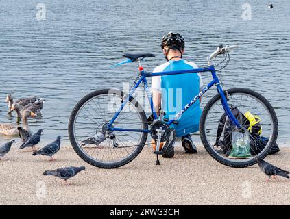 Homme nourrissant les oiseaux par son vélo sur le bord du Round Pond à Kensington Gardens, Londres Banque D'Images