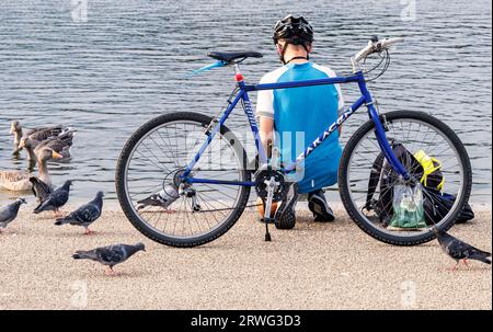 Homme nourrissant les oiseaux par son vélo sur le bord du Round Pond à Kensington Gardens, Londres Banque D'Images