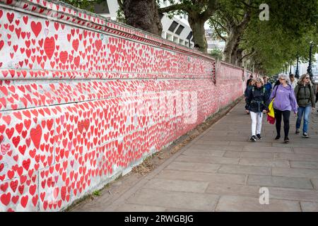 Londres, Royaume-Uni. 19 septembre 2023. Les gens passent le mur commémoratif national de Covid à Lambeth en face des chambres du Parlement. Le programme de vaccination Covid-19 d’automne du NHS de cette année a été avancé en raison de préoccupations concernant la variante Pirola, mais il a été rapporté que, malgré le fait qu’il ait reçu un rappel l’année dernière, les personnes âgées de 50 à 64 ans ne sont pas automatiquement en mesure de recevoir un rappel Covid cette année, à moins qu’elles aient certains problèmes de santé sous-jacents. Crédit : Stephen Chung / Alamy Live News Banque D'Images