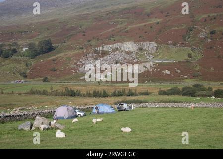 Campeurs dans le champ avec des moutons broutant des murs de pierre sèche et des chutes de roche en arrière-plan dans le paysage accidenté du nord du pays de Galles près du camping Garth Farm à Capel Curig Banque D'Images