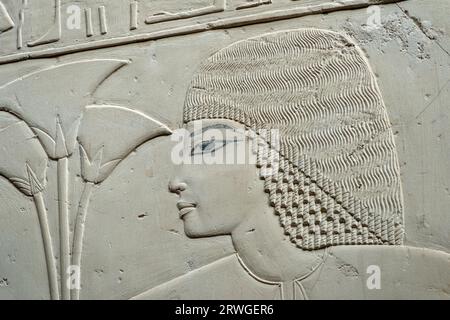 La tombe de Ramosé, vizir et Gouverneur de Thèbes, vieux, Gurna Cisjordanie Egypte Louxor Banque D'Images