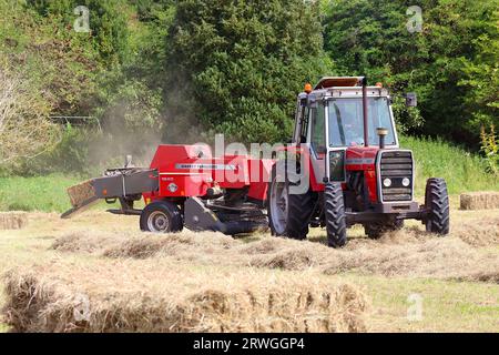 Le tracteur Massey Ferguson 698T couplé à une petite presse à balles rectangulaires 1840 Center-Line travaillant dans un champ de foin est prêt à vendre le foin comme alimentation hivernale. Banque D'Images