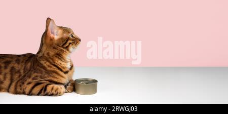 Chat Bengal et une boîte de nourriture humide sur un fond rose. Espace de copie. Banque D'Images