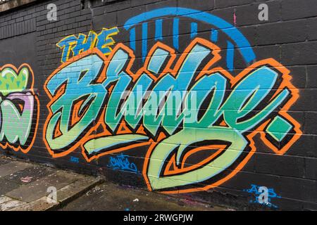 Street art ou graffiti sur un mur dans le quartier Sandyford de Newcastle upon Tyne, Royaume-Uni Banque D'Images