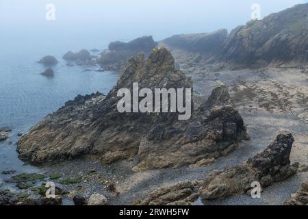 La péninsule de Howth Head un jour brumeux, les falaises déformées par le brouillard, Dublin, paysage de falaises, baies et rochers, Irlande Banque D'Images