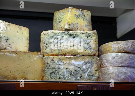 Différents fromages asturiens à base de vache, de chèvre et de mouton melk exposés dans la fromagerie fermiers, Asturies, Espagne du Nord, en gros plan Banque D'Images