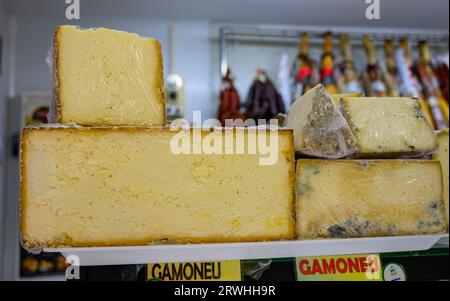 Différents fromages asturiens à base de vache, de chèvre et de mouton melk exposés dans la fromagerie fermiers, Asturies, Espagne du Nord, en gros plan Banque D'Images