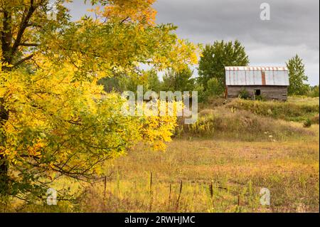 Restez sur Barn Tree sur la gauche - automne Banque D'Images