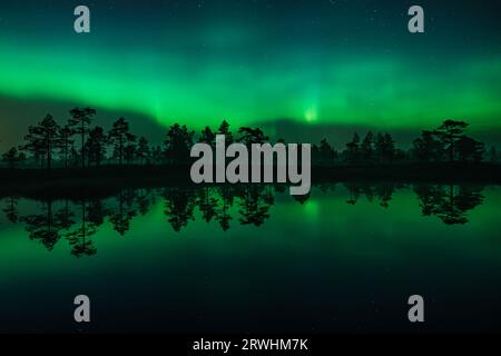 Lumières vertes aurora borealis réfléchies à la surface d'un petit lac dans les bois en Finlande Banque D'Images