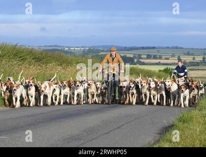 Cottesmore Hunt organise des exercices tôt le matin à Rutland. 02,07 2022 Banque D'Images