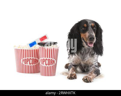 Mignon chien Cocker Spaniel avec des seaux de pop-corn, lunettes de cinéma 3D et télécommande de télévision couchée sur fond blanc Banque D'Images