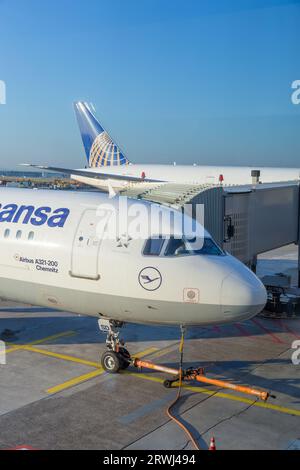 Francfort, Allemagne - 17 juillet 2014 : avions Lufthansa aux portes du terminal 1 de l'aéroport international de Francfort. Lufthansa abrite le terminal One for All Banque D'Images