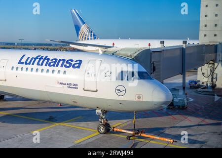 Francfort, Allemagne - 17 juillet 2014 : avions Lufthansa aux portes du terminal 1 de l'aéroport international de Francfort. Lufthansa abrite le terminal One for All Banque D'Images