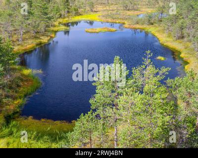 Pittoresque nature intacte et protégée avec lac dans le parc national de Laheema près de Tallinn, Estonie Banque D'Images