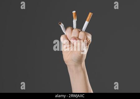 Concept d'arrêt de fumer. Femme écrasant des cigarettes sur fond gris, gros plan avec espace pour le texte Banque D'Images