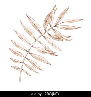 Branche sèche aquarelle. Feuille de plante tropicale dessinée à la main. Feuille de palmier pour les articles de vacances et de festival. Plante florale pour textiles, tissus, invitations Banque D'Images