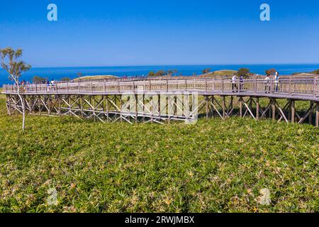 Passerelle en bois surélevée des lacs Shiretoko Goko Banque D'Images