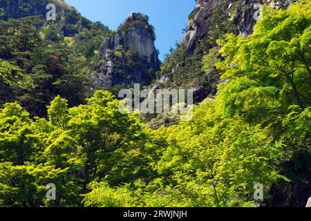 Gorge de Shosenkyo en vert frais Banque D'Images