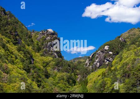 Gorge de Shosenkyo en vert frais Banque D'Images