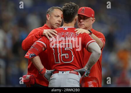 St. Petersburg, FL États-Unis ; le joueur de terrain droit des Los Angeles Angels Randal Grichuk (15 ans) est durement touché par un pitch et vérifié par Phil, le Manager des Los Angeles Angels Banque D'Images