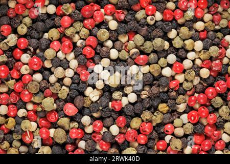 Un mélange de grains de poivre noir, vert, rouge et blanc Banque D'Images