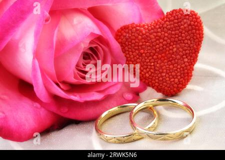 Rose rose couché sur tulle à côté de 2 anneaux de mariage Banque D'Images