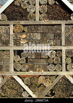 Maison d'abeille en bois avec de nombreuses cachettes différentes Banque D'Images