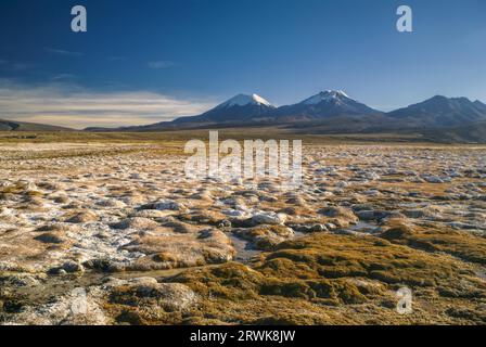 Vue panoramique sur les volcans, les plus hauts sommets boliviens en Bolivie dans le parc national de Sajama Banque D'Images