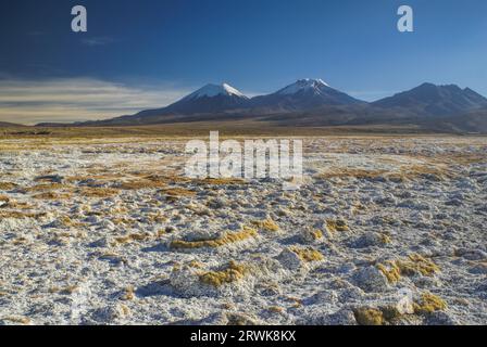 Vue pittoresque de volcans Pomerape bolivien et Paranicota, plus hauts sommets dans le parc national de Sajama en Bolivie Banque D'Images