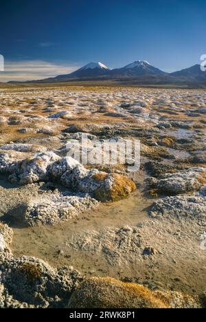 Vue panoramique sur les volcans de Bolivie, plus hauts sommets dans le parc national de Sajama en Bolivie Banque D'Images