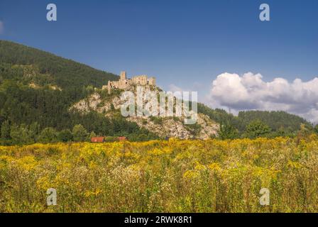 Ruines du château pittoresque de strecno en Slovaquie Banque D'Images