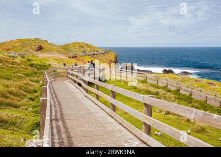 Les Nobbies et les paysages environnants pendant la saison d'accouplement des mouettes par une chaude journée de printemps à Philip Island, Victoria, Australie Banque D'Images