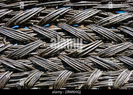 fond sous la forme d'une clôture tissée à partir de branches. fond en osier naturel Banque D'Images