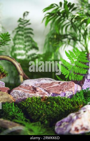 Podium de roche naturelle dans la forêt avec fougère et mousse. Vitrine vide pour la présentation des produits. Arrière-plan naturel. Banque D'Images