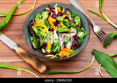 Salade verte avec légumes et poireaux ou ail sauvage. Alimentation saine des plantes de printemps Banque D'Images