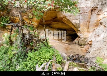 Taevaskoja Emaläte printemps en Estonie, appelé Source mère. Pure eau de source propre froide coulant de grotte de sable dans la nature en été. Banque D'Images
