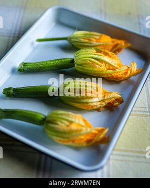 quatre fleurs de courgettes sont délicatement disposées sur une assiette blanche. Les fleurs orange vibrantes et vert clair se transforment gracieusement en tiges vertes, SH Banque D'Images