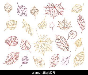 Ensemble vectoriel de feuilles d'automne dessinées à la main, contour noir d'érable, de bouleau, de chêne, de feuilles de tremble dans les graphiques Illustration de Vecteur