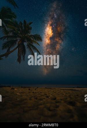 Une scène de plage idyllique avec deux grands palmiers silhouettés dans un ciel nocturne tranquille illuminé par une douce lueur laiteuse Banque D'Images