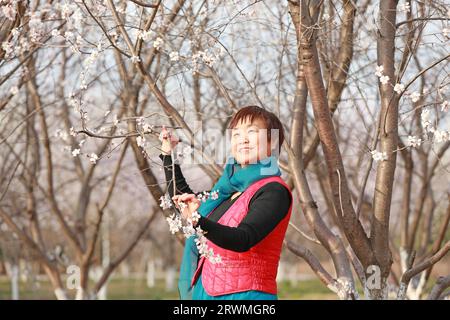 COMTÉ de LUANNAN, Chine - 1 avril 2022 : de belles fleurs de pêche de montagne sont en pleine floraison. Les gens jouent sous les arbres dans le parc, dans le nord de la Chine Banque D'Images