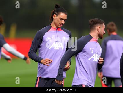 Darwin Nunez de Liverpool (à gauche) et Alexis Mac Allister lors d'une séance d'entraînement au Centre de formation AXA de Liverpool. Date de la photo : mercredi 20 septembre 2023. Banque D'Images